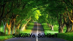 Sakarya-sohbet-300x168